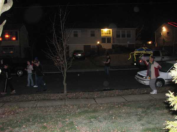 Picture 053