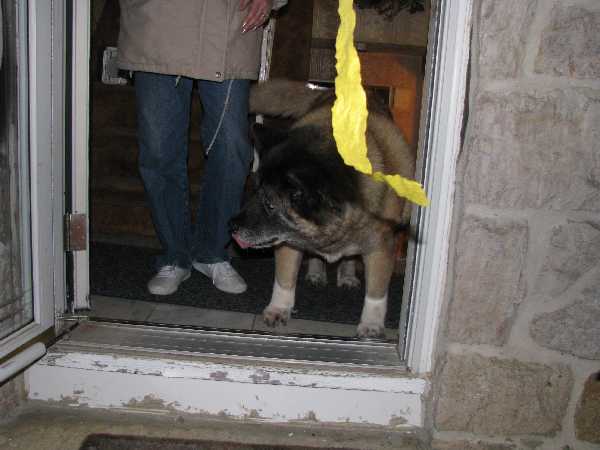 Picture 062