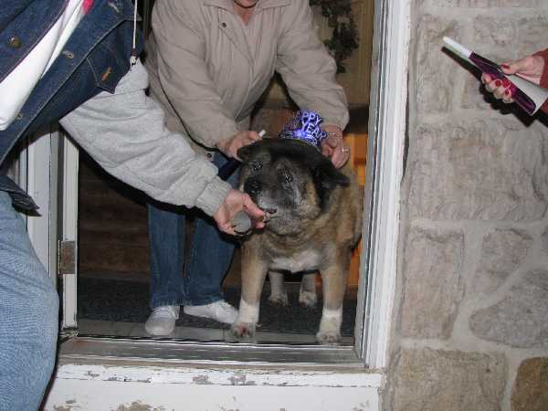 Picture 063