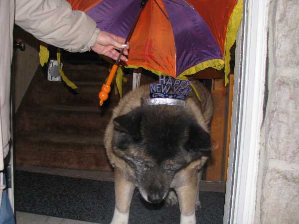 Picture 065
