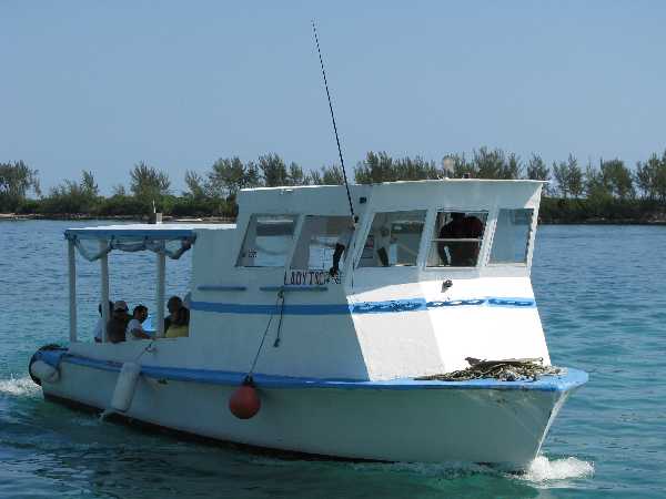 Oasis1162