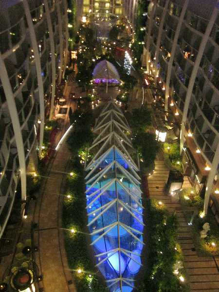 Oasis3244