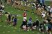 WMVar072