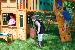 yard025