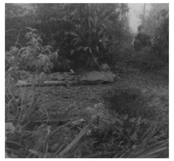 foxhole