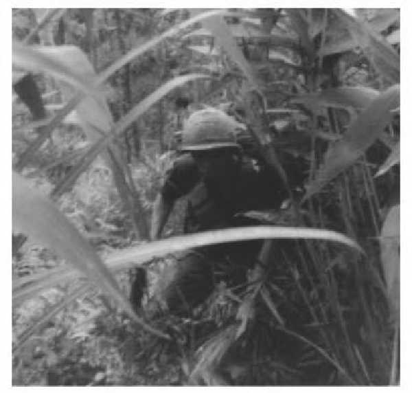 patrol1